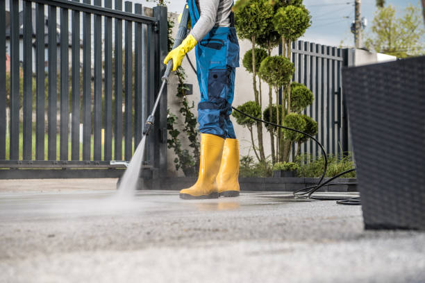 Best Local Pressure Washing Services  in Rainbow Park, FL