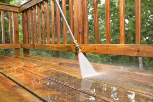 Best Pressure Washing Company Near Me  in Rainbow Park, FL