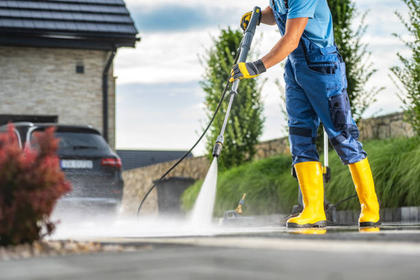 Best Roof Power Washing Services  in Rainbow Park, FL