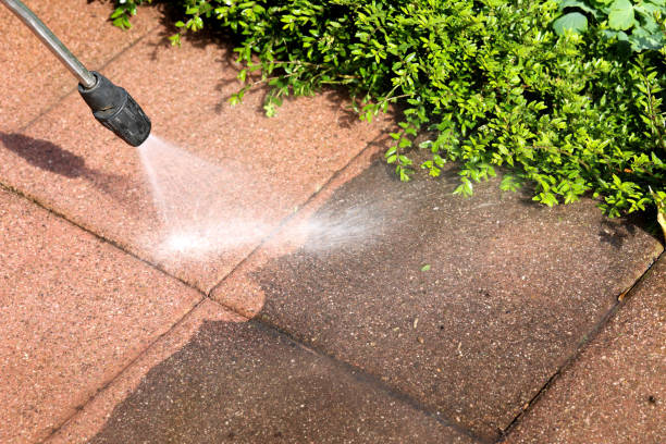 Best Residential Pressure Washing Services  in Rainbow Park, FL
